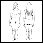 Приватни делови на телото