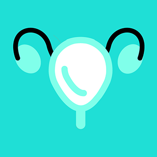 Get to Know Your Sex Organs