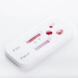 Breaking the silence